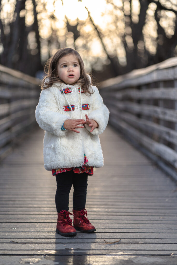 portrait photographers in lakeville minnesota